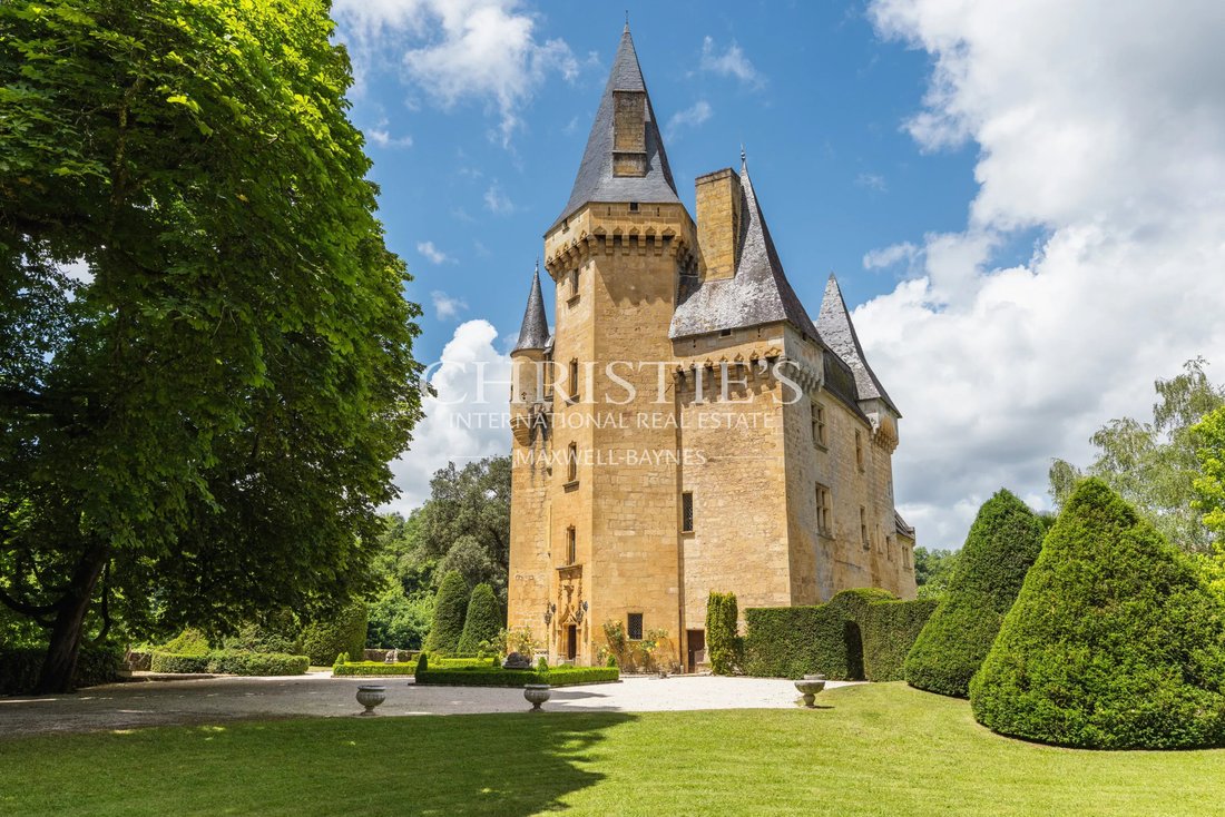 Castle in Montignac-Lascaux, Nouvelle-Aquitaine, France 2 - 18224270