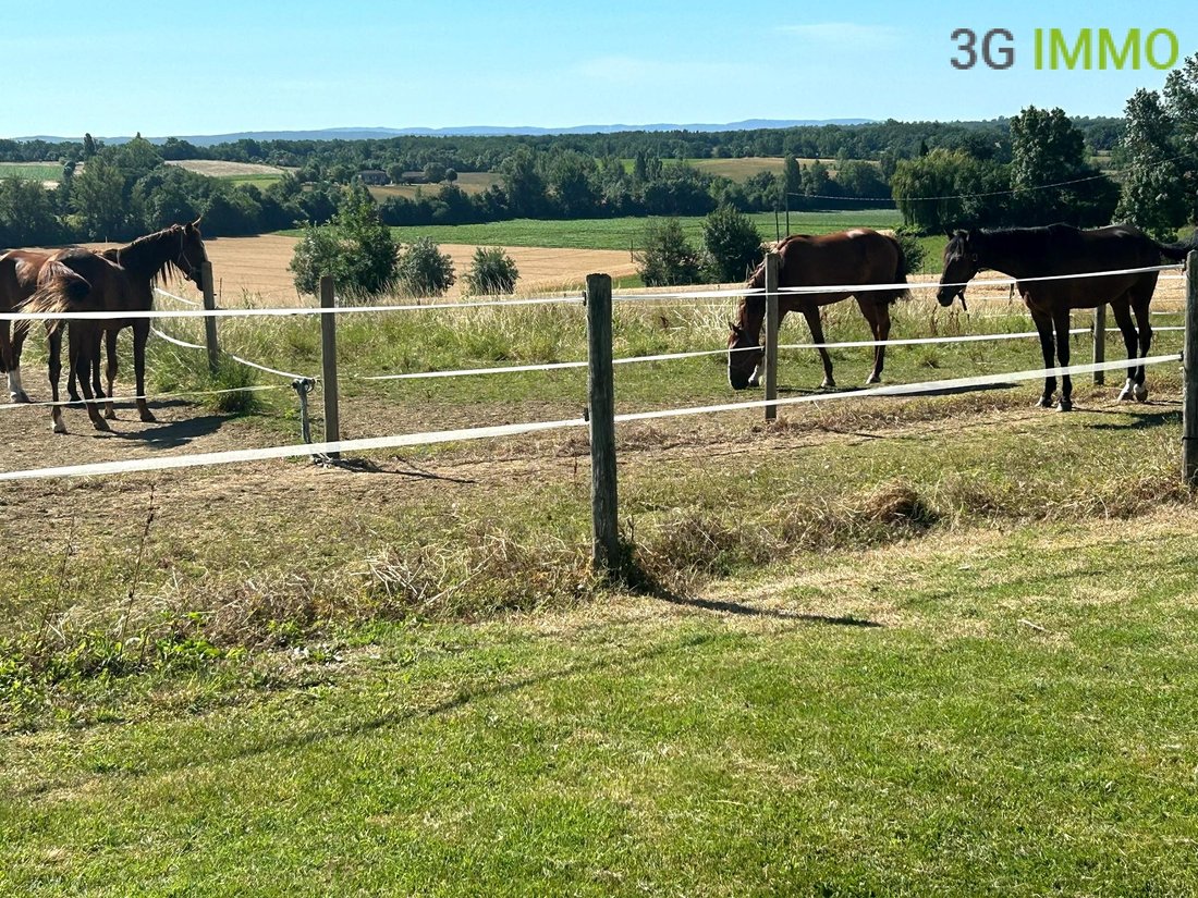 Estate in Sud, Caussade, France 2 - 18226285