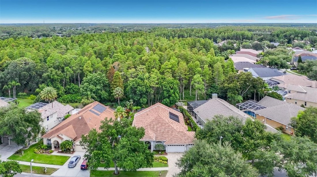 House in Land O' Lakes, Florida, United States 3 - 18230490