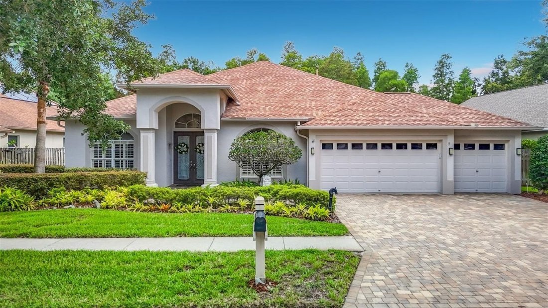 House in Land O' Lakes, Florida, United States 1 - 18230490