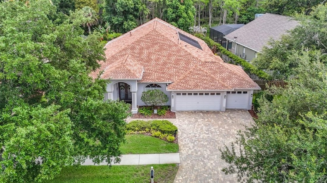 House in Land O' Lakes, Florida, United States 2 - 18230490
