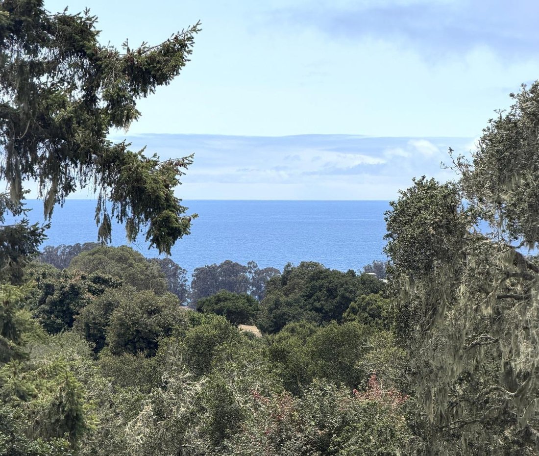 House in Watsonville, California, United States 4 - 18210533