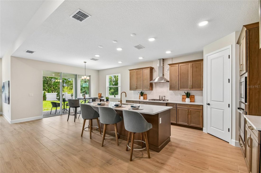 House in Apopka, Florida, United States 4 - 16502988