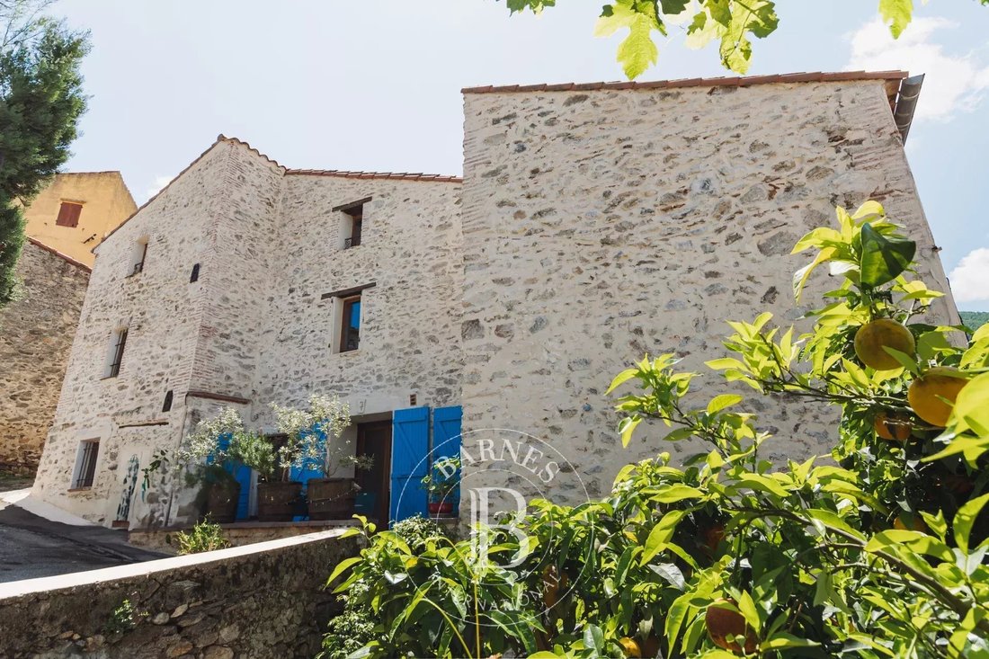 House in Montesquieu-des-Alberes, Occitania, France 1 - 15070689