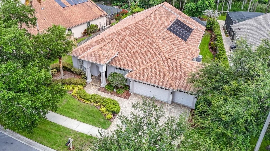 House in Land O' Lakes, Florida, United States 4 - 18230490