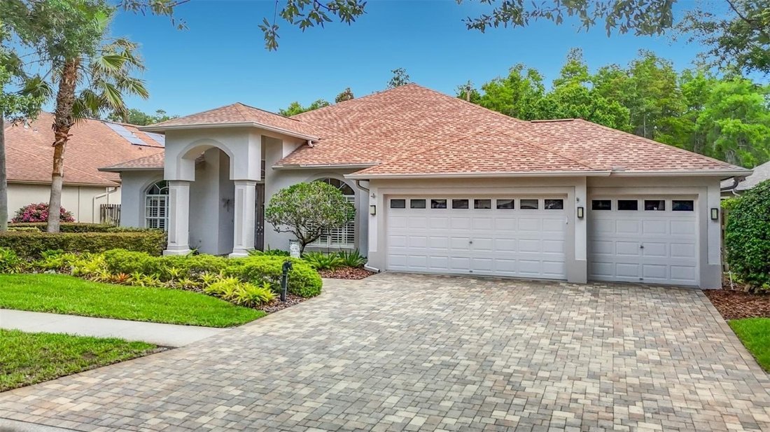House in Land O' Lakes, Florida, United States 5 - 18230490