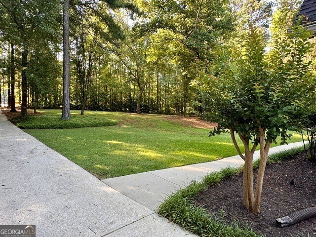 House in Locust Grove, Georgia, United States 4 - 18226131