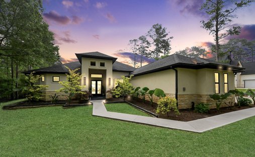 House in Magnolia, Texas, United States 1
