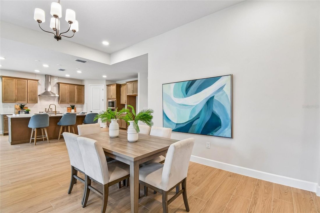 House in Apopka, Florida, United States 5 - 16502988