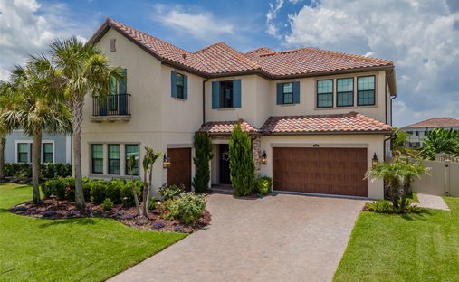 House in Wesley Chapel, Florida, United States 1