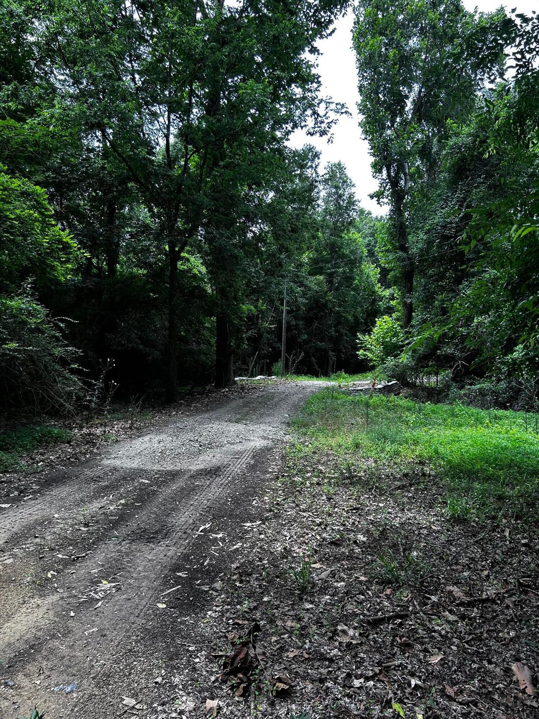 Land in Ridgeville, South Carolina, United States 1 - 18233545