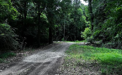 Land in Ridgeville, South Carolina, United States 1