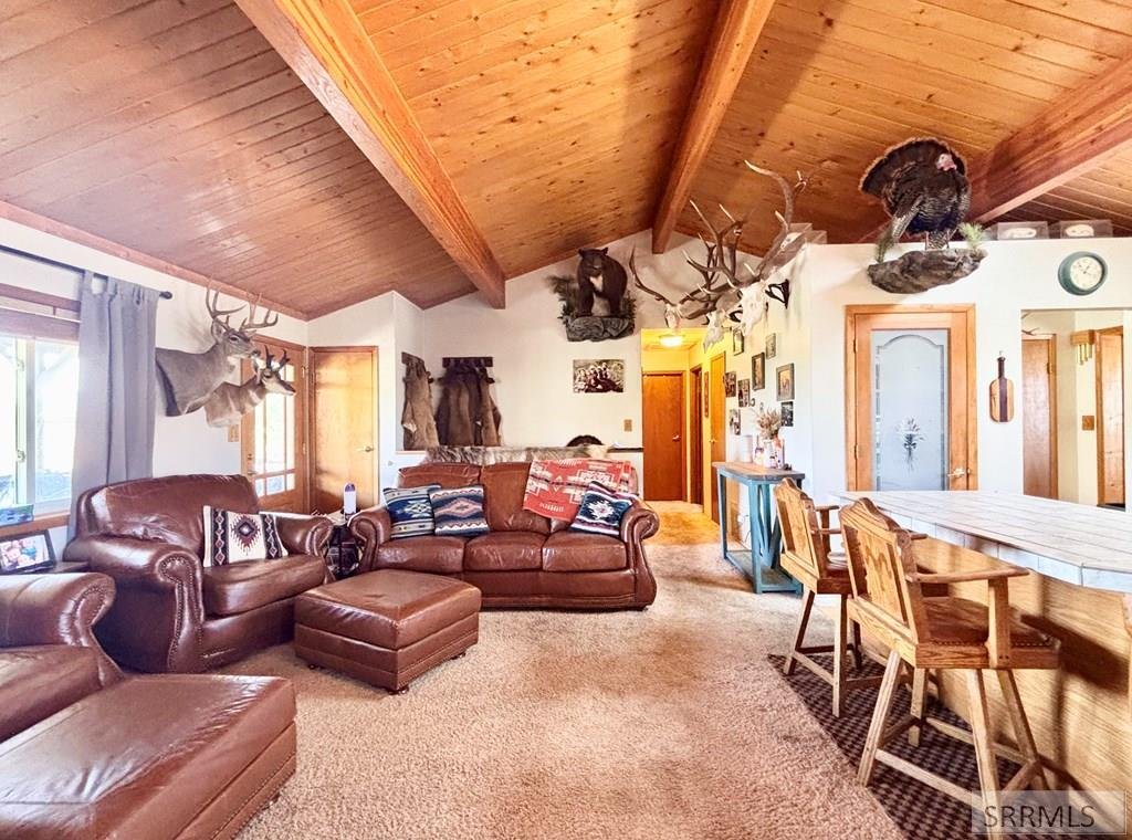 House in Challis, Idaho, United States 4 - 18227077