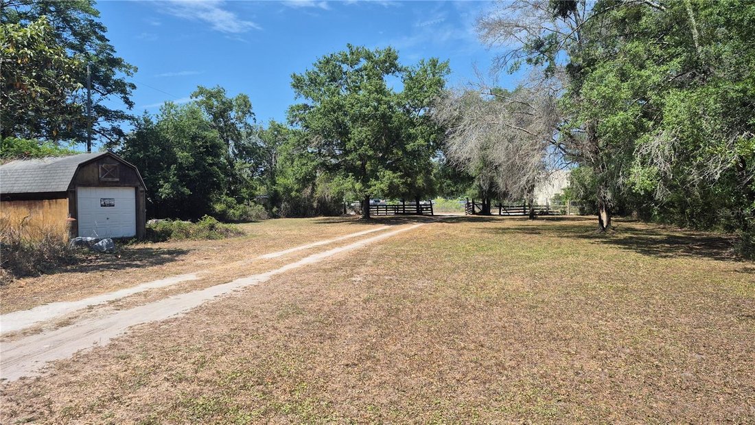 House in New Port Richey, Florida, United States 5 - 18226449