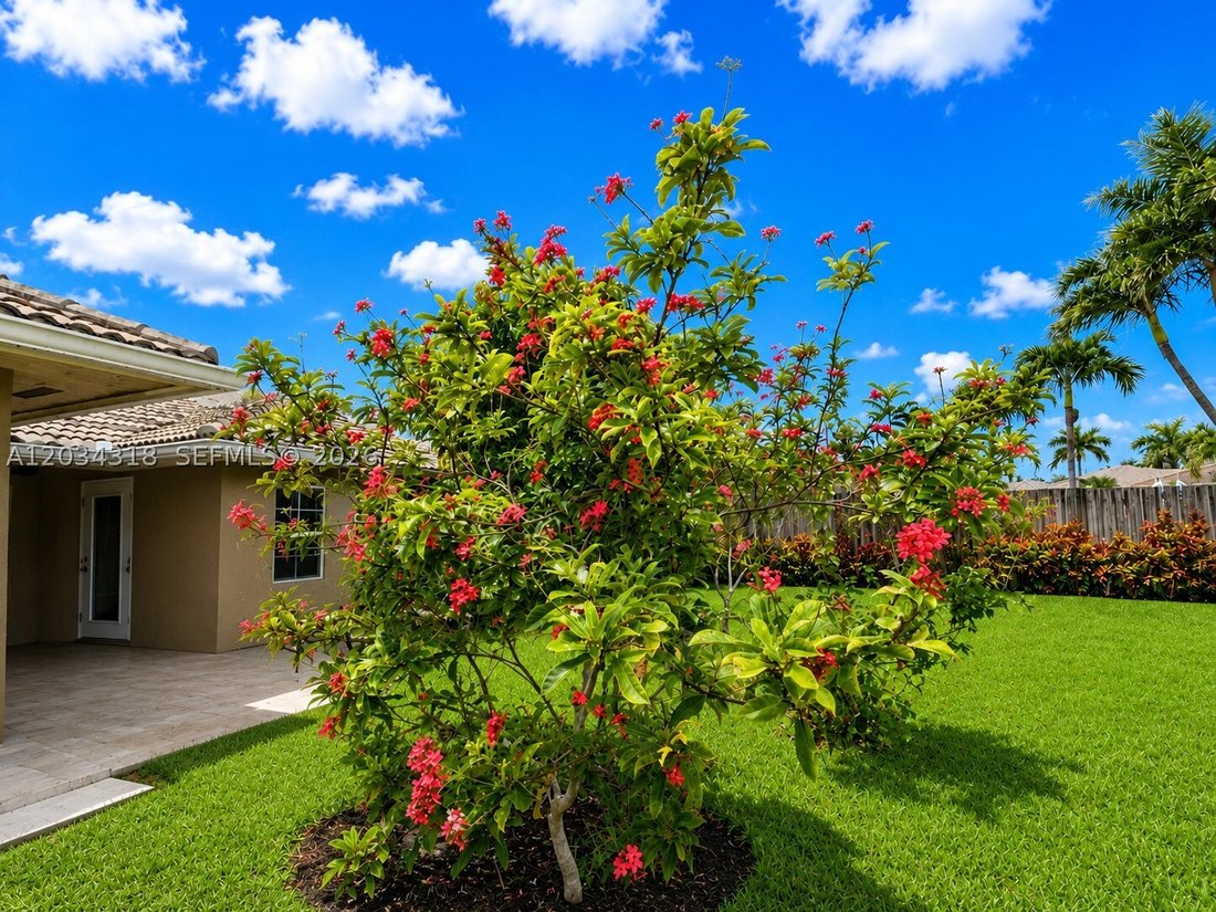 House in Miami, Florida, United States 5 - 18226340