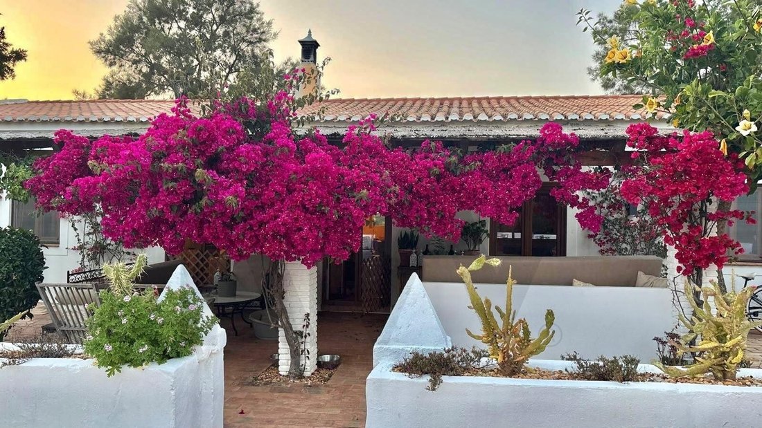 Farm Ranch in Parchal, Algarve, Portugal 2 - 18230866