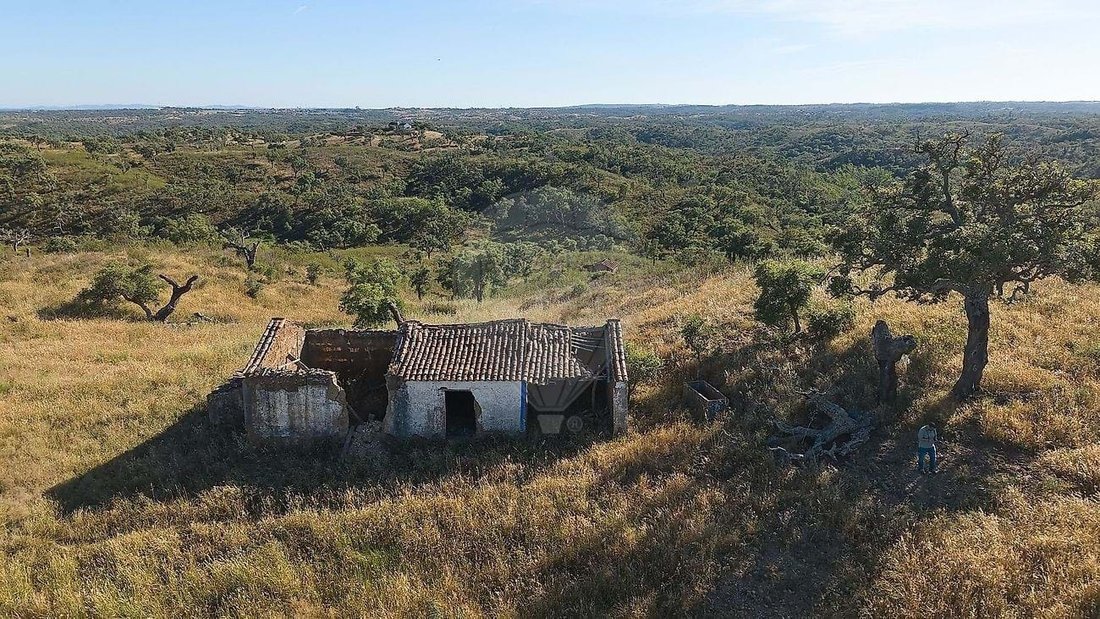 Farm Ranch in Santiago do Cacem, Santa Cruz e Sao Bartolomeu da Serra, Setubal, Portugal 3 - 18231400