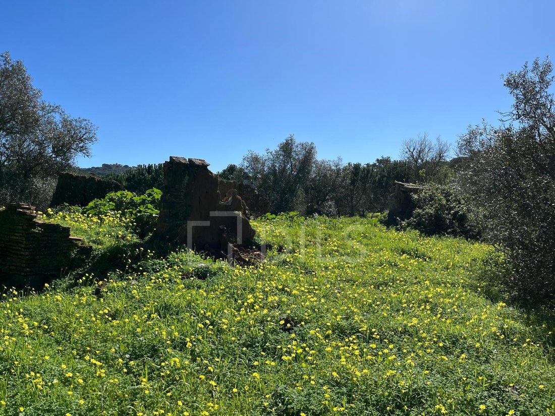 Land in Grandola e Santa Margarida da Serra, Setubal, Portugal 5 - 18230825