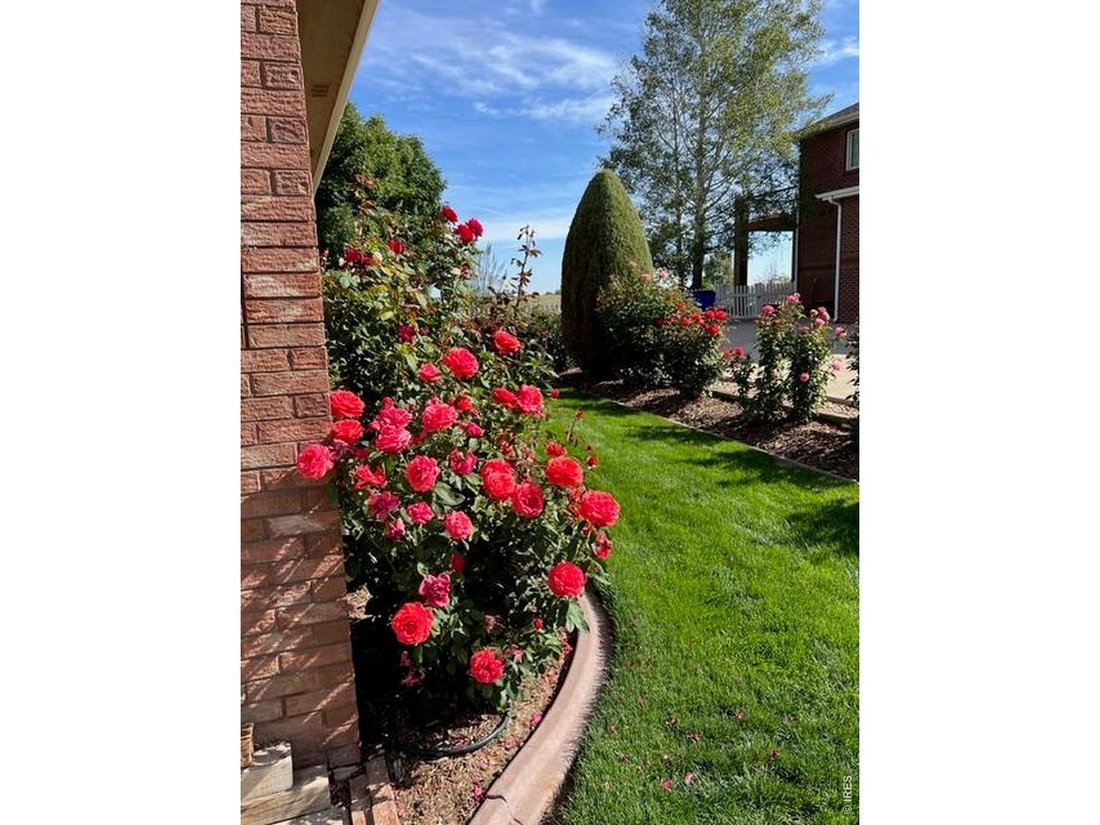 House in Berthoud, Colorado, United States 3 - 18225632