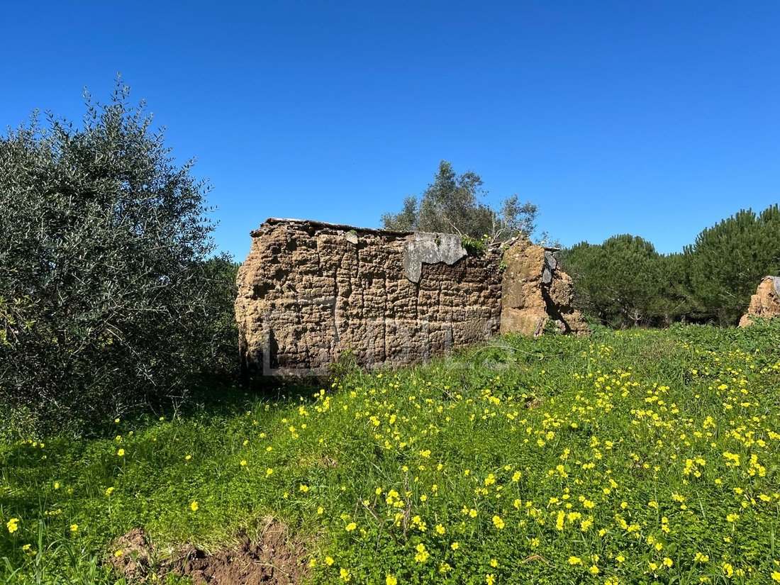 Land in Grandola e Santa Margarida da Serra, Setubal, Portugal 4 - 18230825