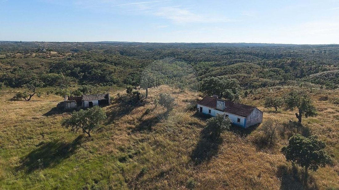 Farm Ranch in Santiago do Cacem, Santa Cruz e Sao Bartolomeu da Serra, Setubal, Portugal 1 - 18231400