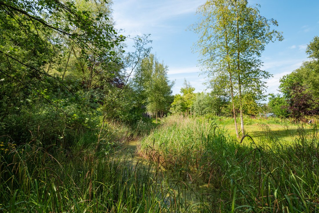 Villa in Heiloo, North Holland, Netherlands 5 - 18235099