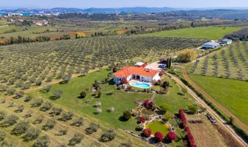 Estate in Savudrija, Istria County, Croatia 1