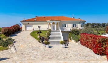 Estate in Savudrija, Istria County, Croatia 2