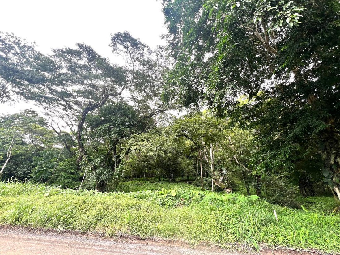 Land in Garabito, Costa Rica 1 - 18245561