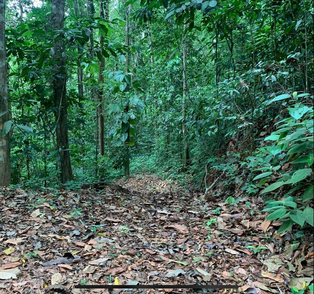 Land in Carara, San José Province, Costa Rica 4 - 18245620