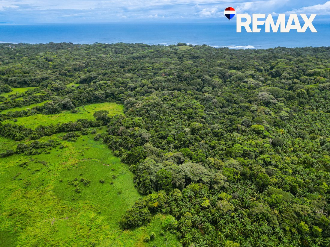 Land in Parrita, Costa Rica 4 - 18245792