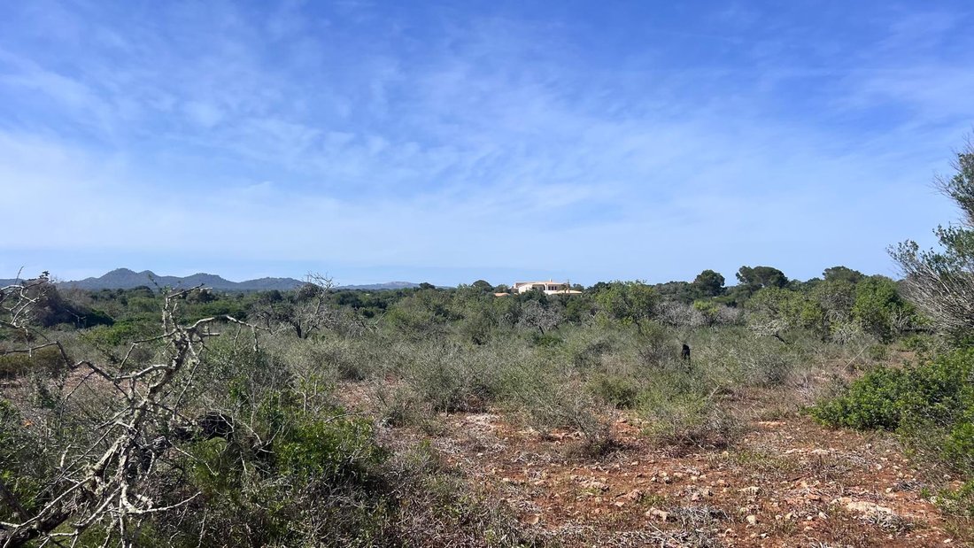 Land in Portocolom, Felanitx, Balearic Islands 5 - 18241840