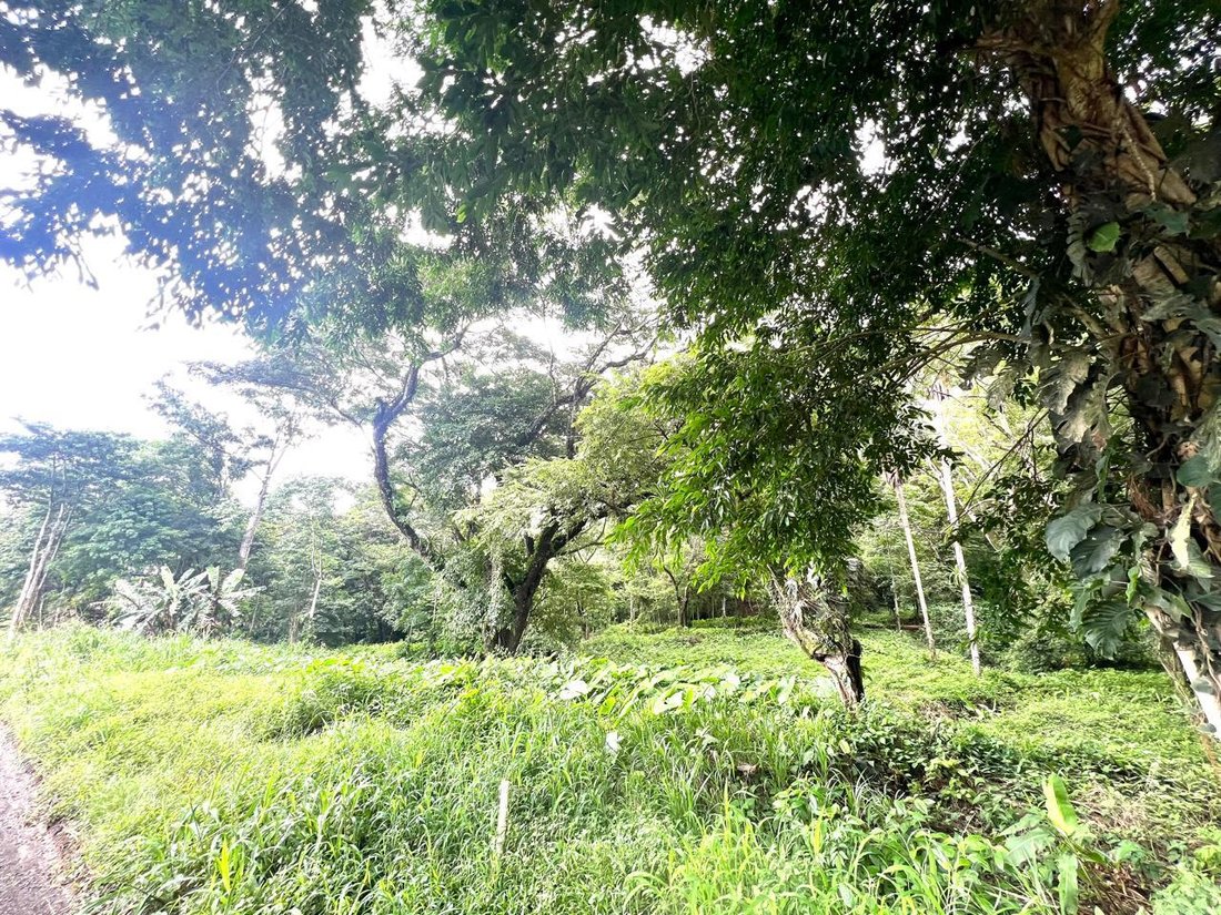 Land in Garabito, Costa Rica 4 - 18245561