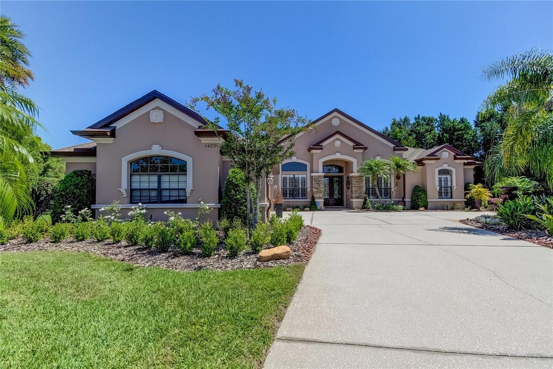 House in Odessa, Florida, United States 4 - 18244965