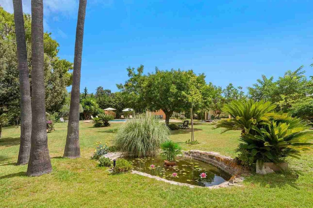 Finca in Pollenca, Balearic Islands, Spain 3 - 18241976