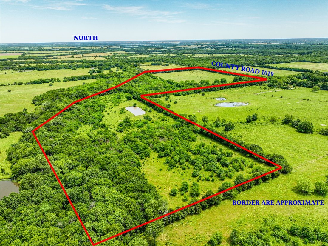Land in Celeste, Texas, United States 1 - 18242559