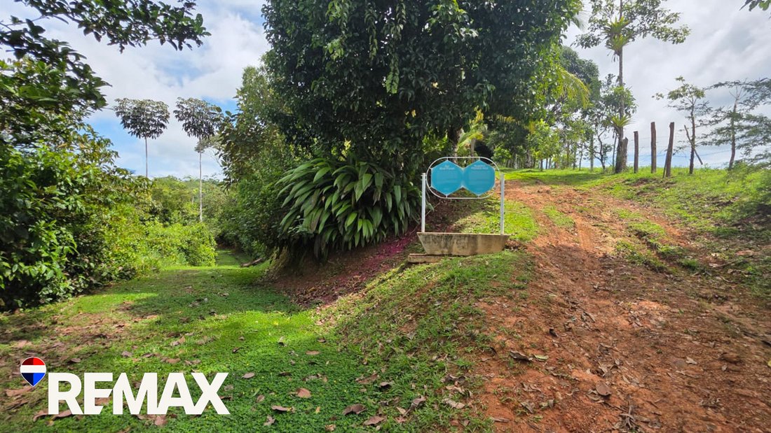 Land in Puriscal, Costa Rica 5 - 18245939