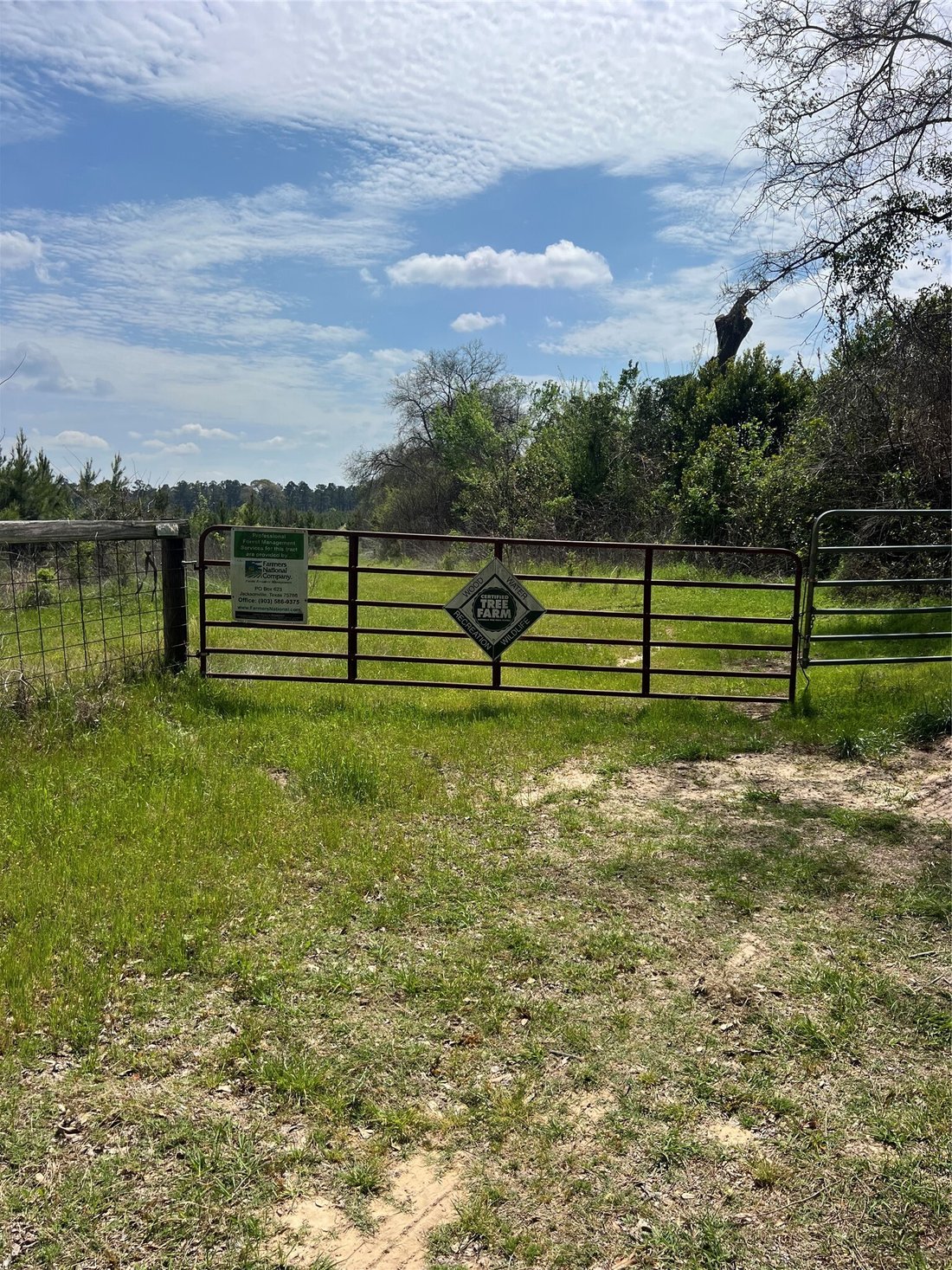 Land in Jacksonville, Texas, United States 2 - 18236065