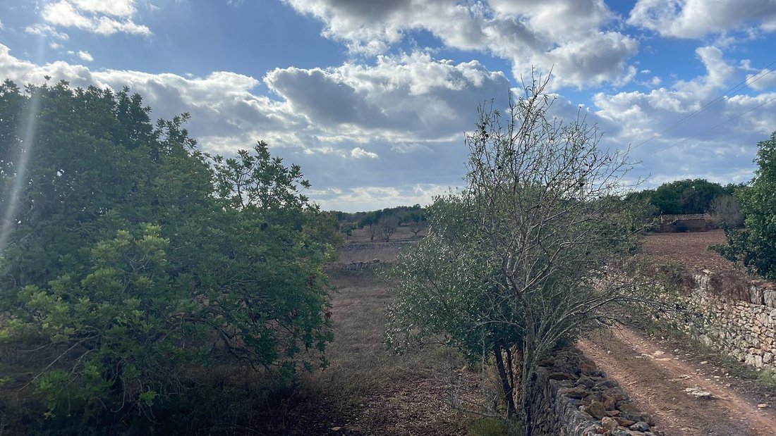 Terreno a Santanyí, Isole Baleari, Spagna 2 - 18241982