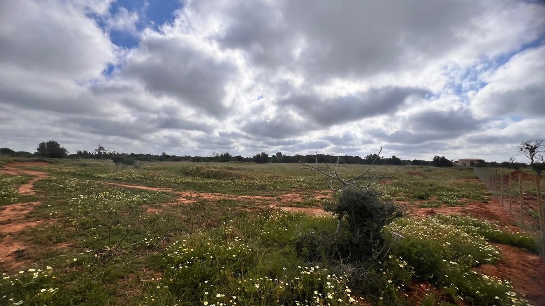 Estate in es Llombards, Santanyi, Balearic Islands 4 - 18242488