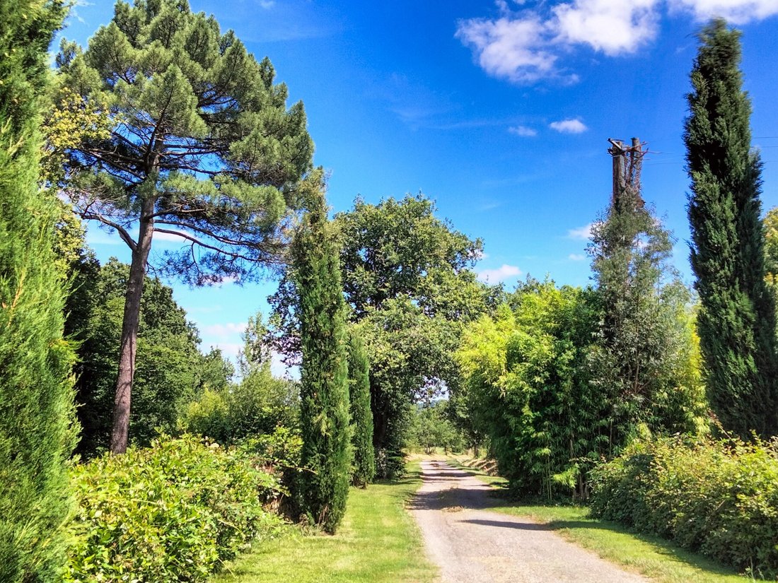 House in L'Isle-en-Dodon, Occitania, France 3 - 18236878