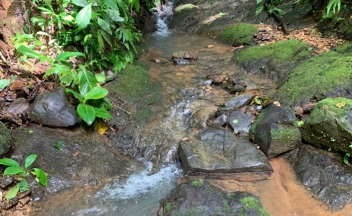 Land in Carara, San José Province, Costa Rica 1