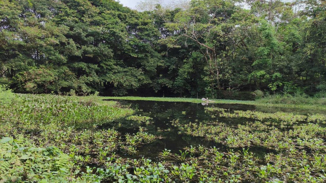 Terrain à Llano Bonito, Puntarenas, Costa Rica 4 - 18246754