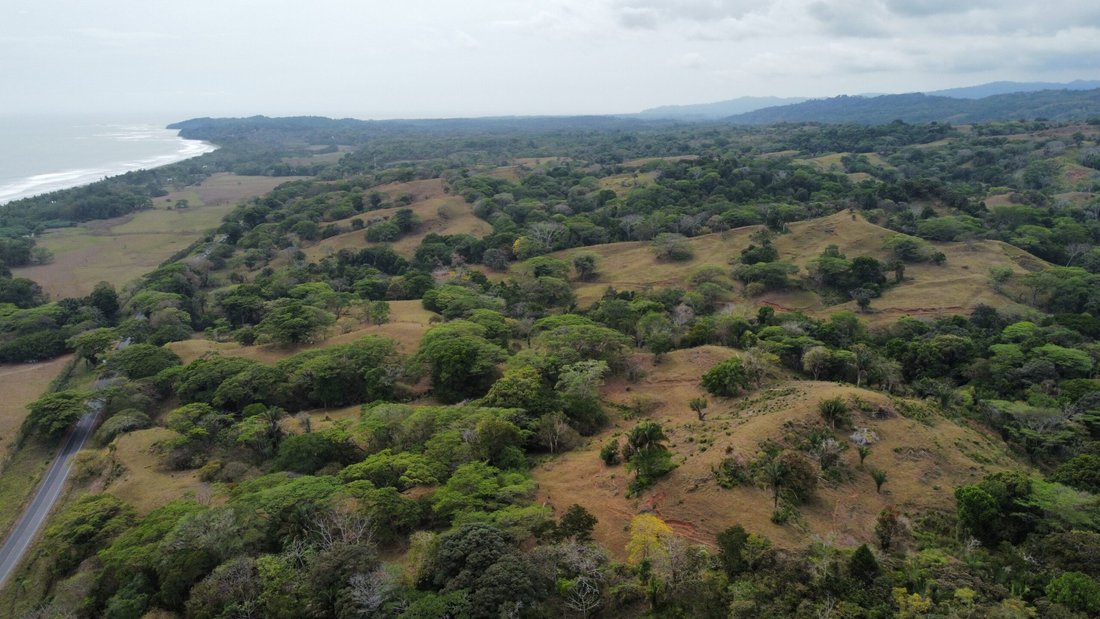 Land in Esterillos Centro, Puntarenas Province, Costa Rica 3 - 18242738