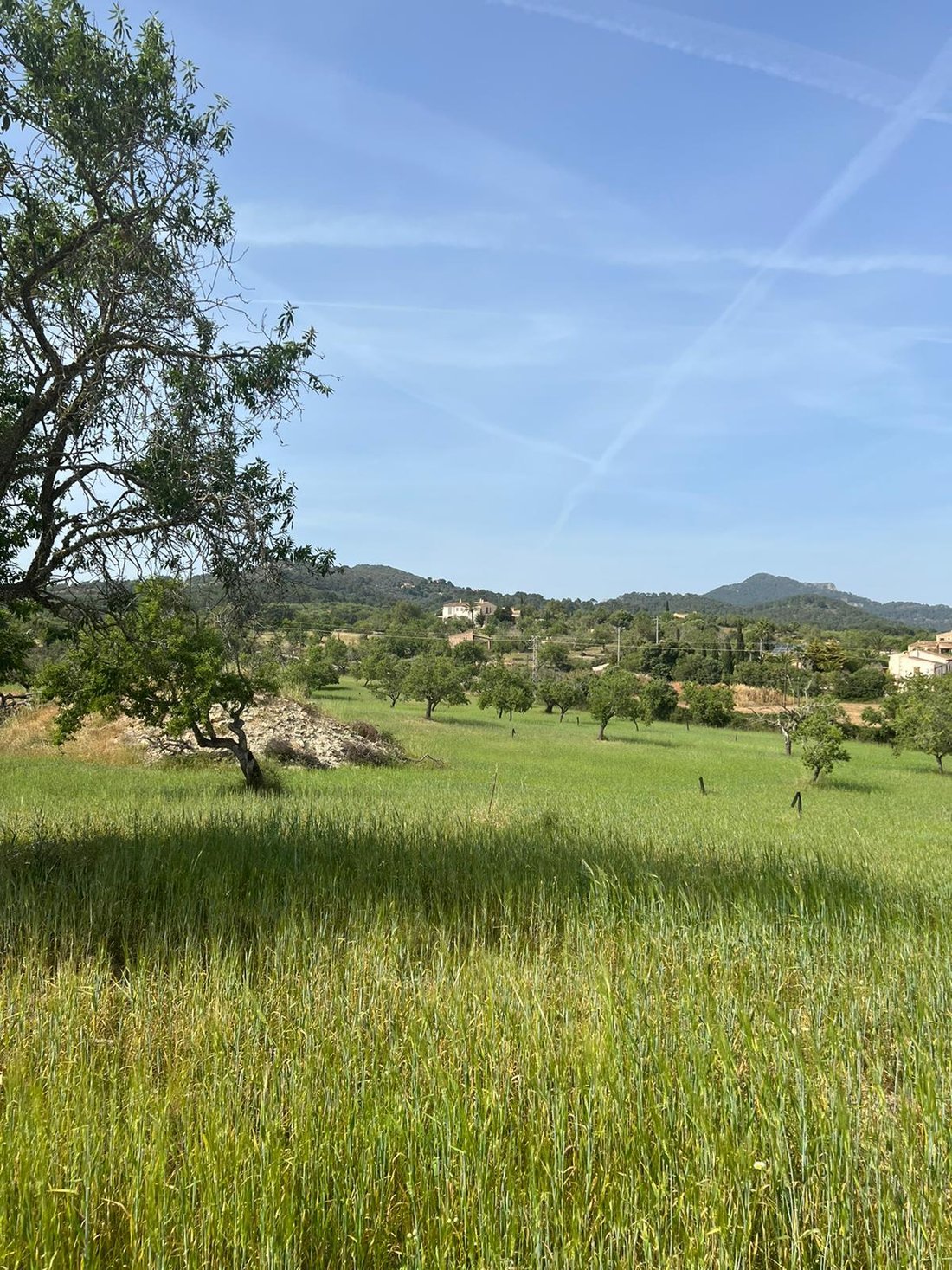 Land in S’Alqueria Blanca, Santanyí, Balearische Inseln 3 - 18242056