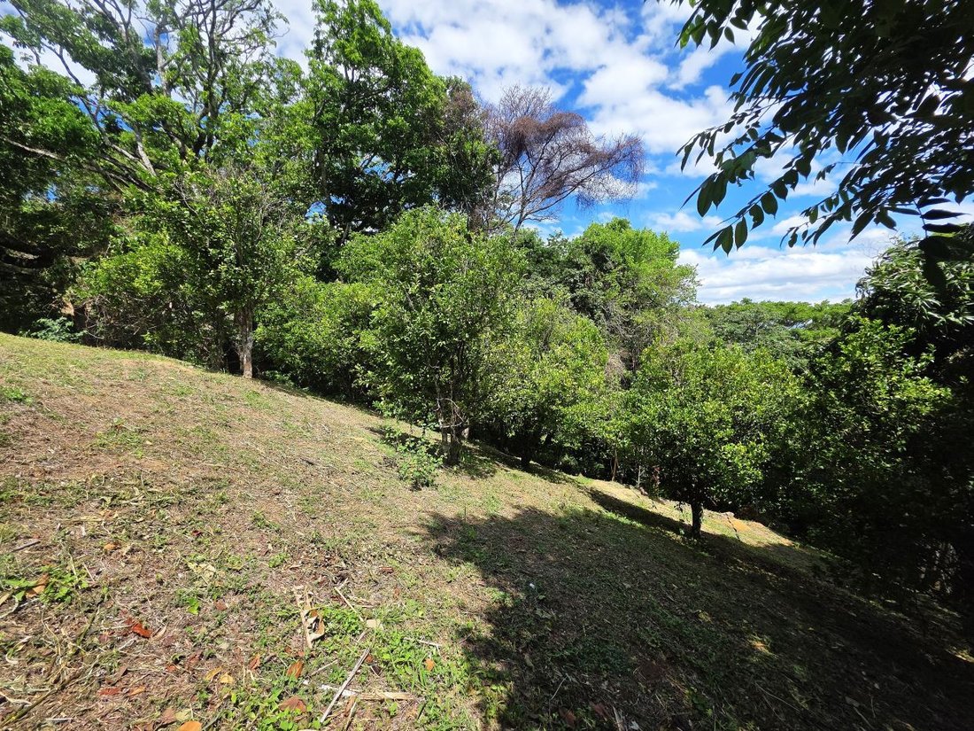 Land in Cinco Esquinas, San José Province, Costa Rica 3 - 18243844
