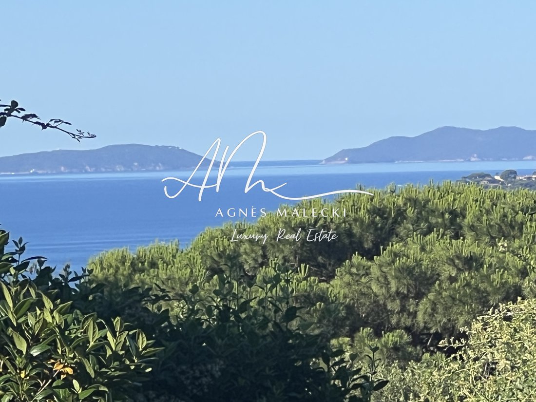 Estate in La Croix-Valmer, Provence-Alpes-Côte d'Azur, France 3 - 18212204