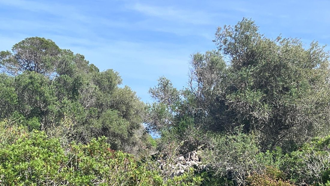 Land in Portocolom, Felanitx, Balearic Islands 1 - 18241840