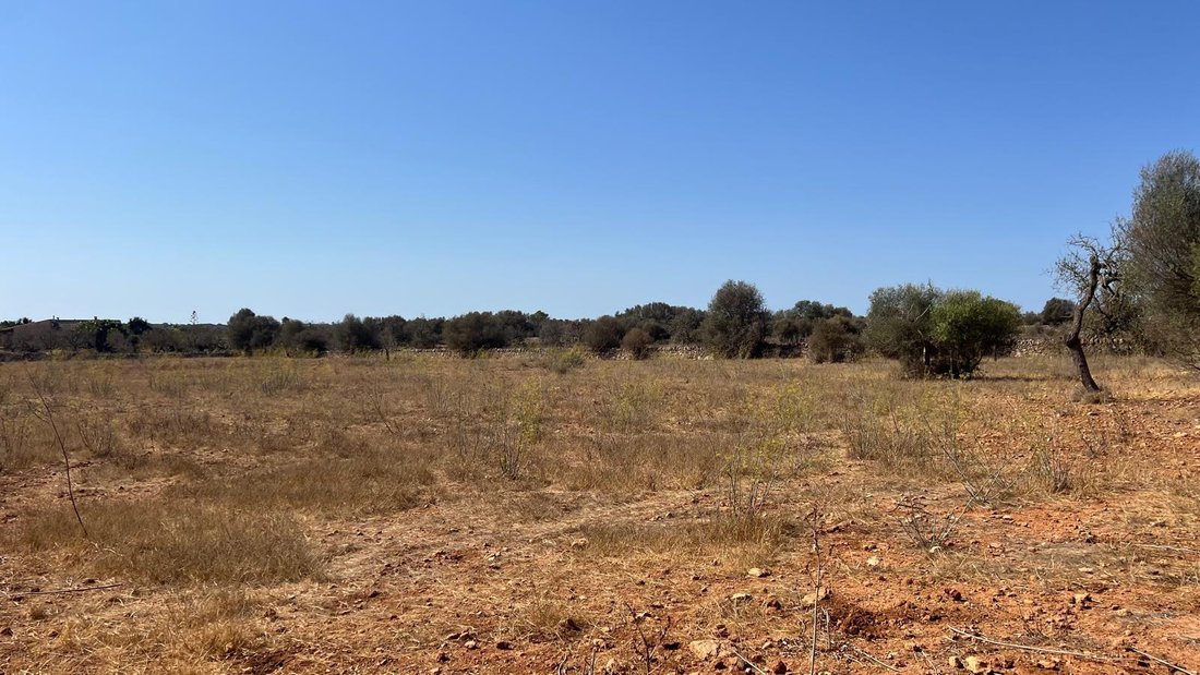Land in es Llombards, Santanyi, Balearic Islands 1 - 18241996