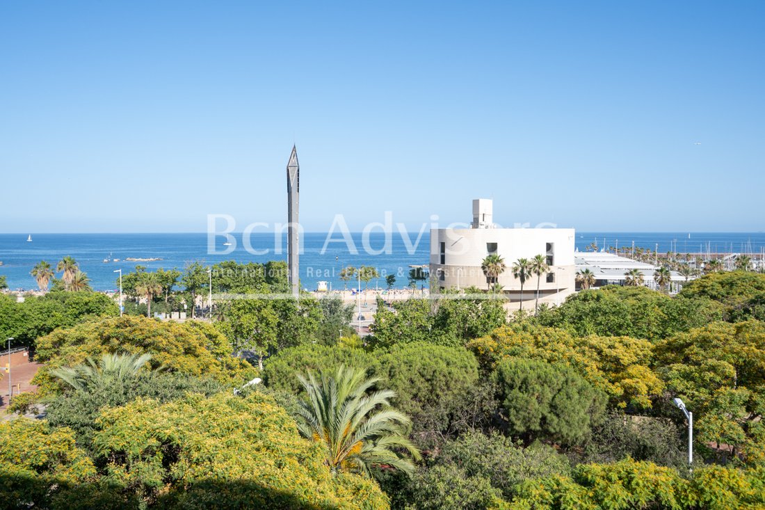 Apartment in Sant Martí, Barcelona, Spain 1 - 18245915